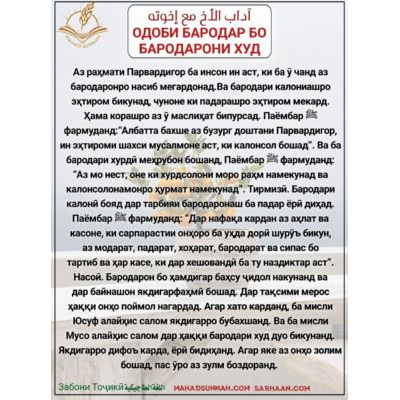 ОДОБИ БАРОДАР БО БАРОДАРОНИ ХУД