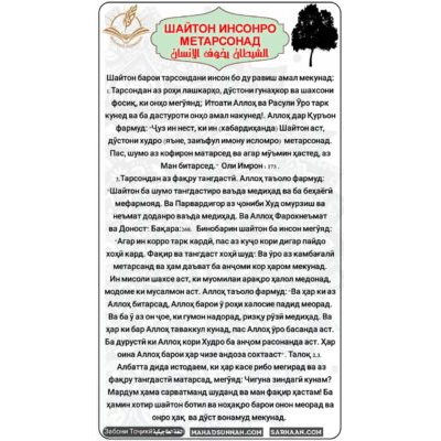 ШАЙТОН ИНСОНРО МЕТАРСОНАД